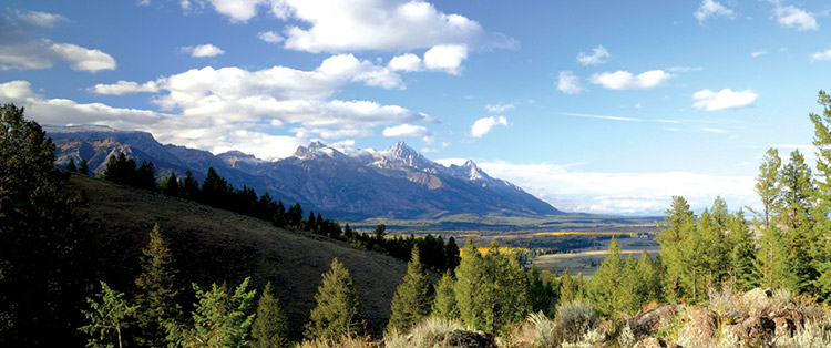 Bar BC Ranch