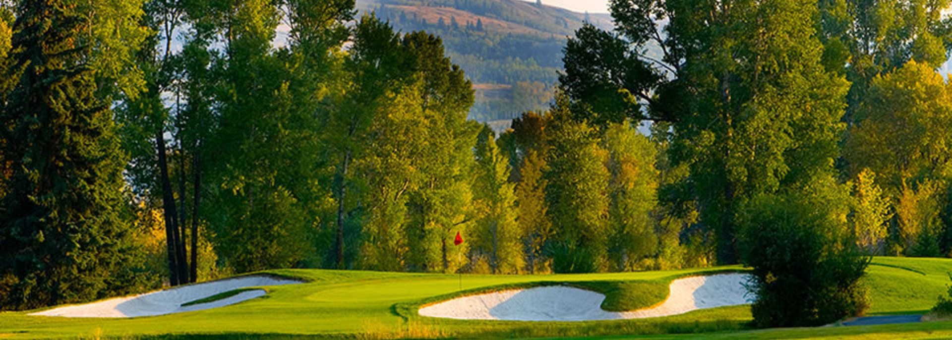 Golf and Tennis