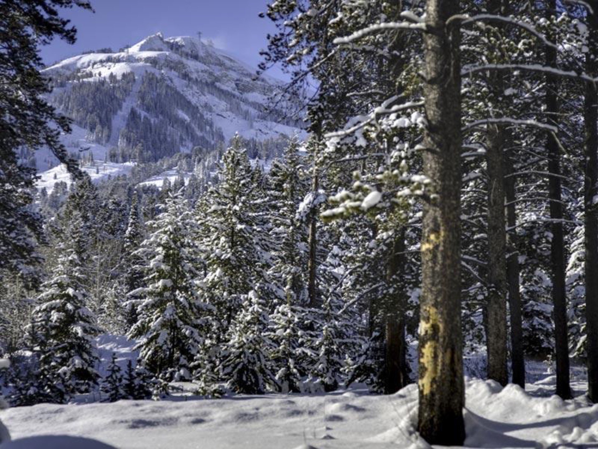Teton Village/Granite Ridge