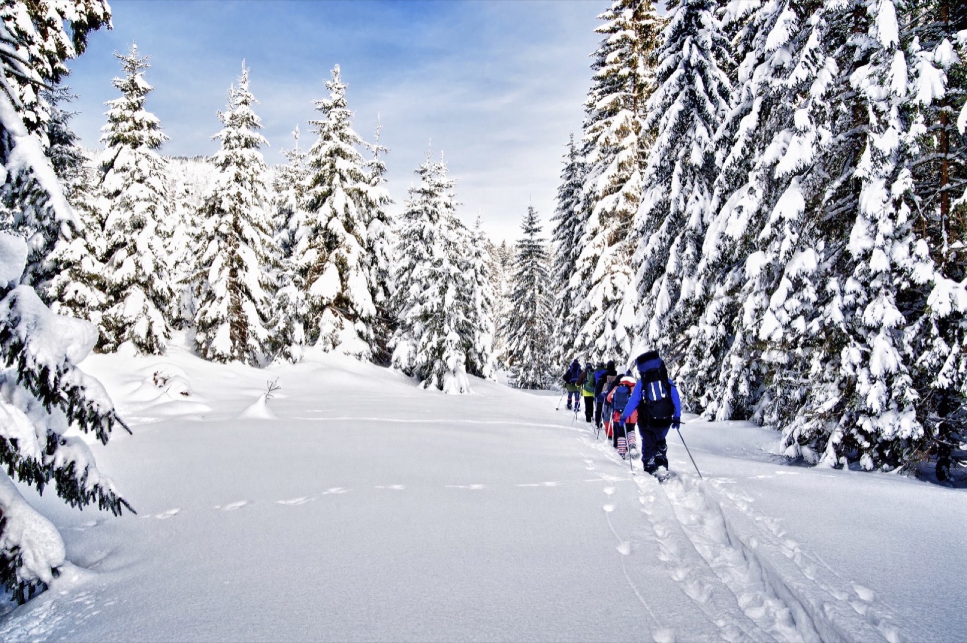Snowshoeing & Snowmobiling