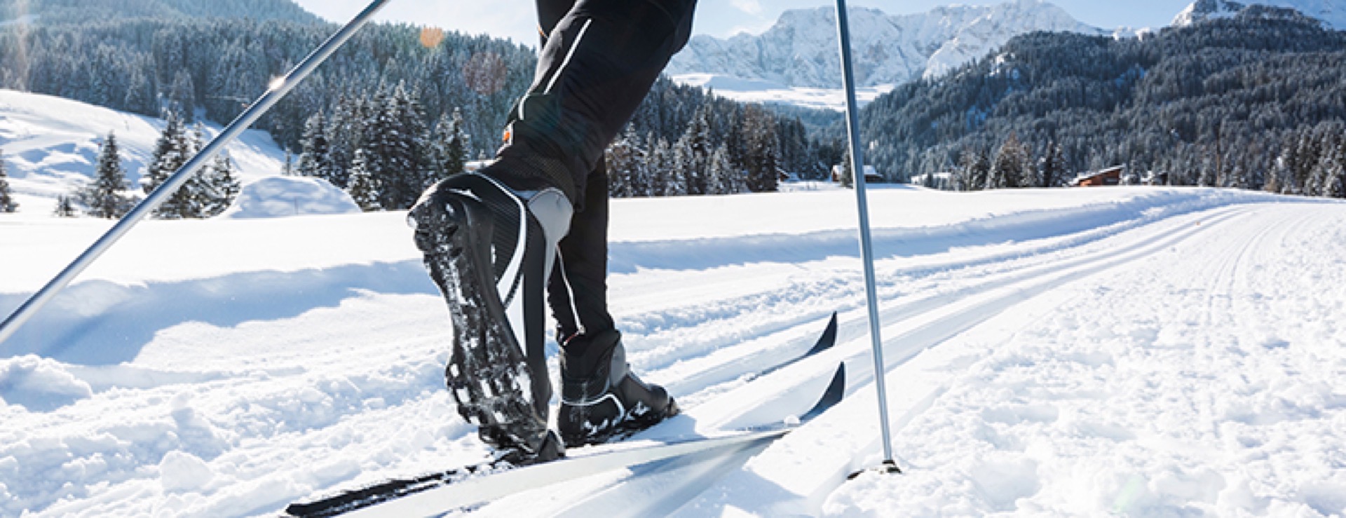 Cross-Country Skiing