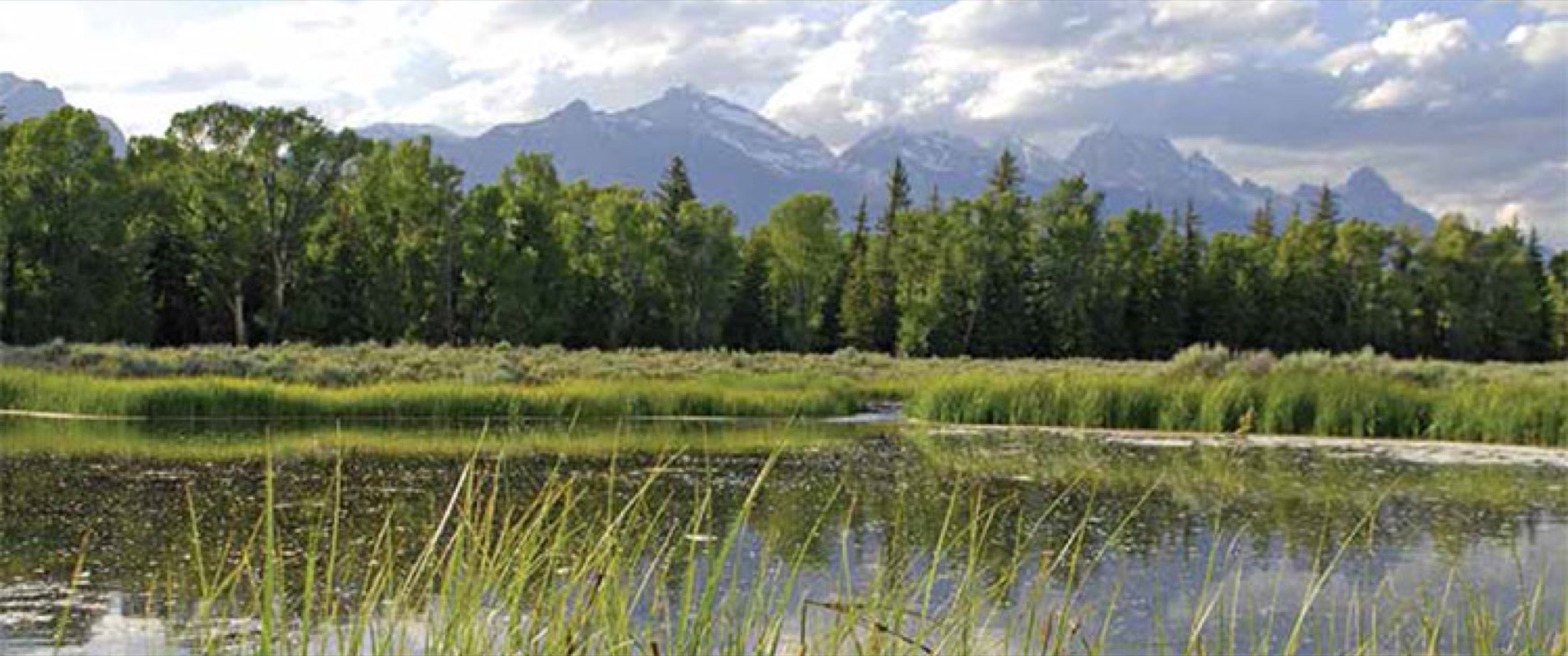Owl Creek