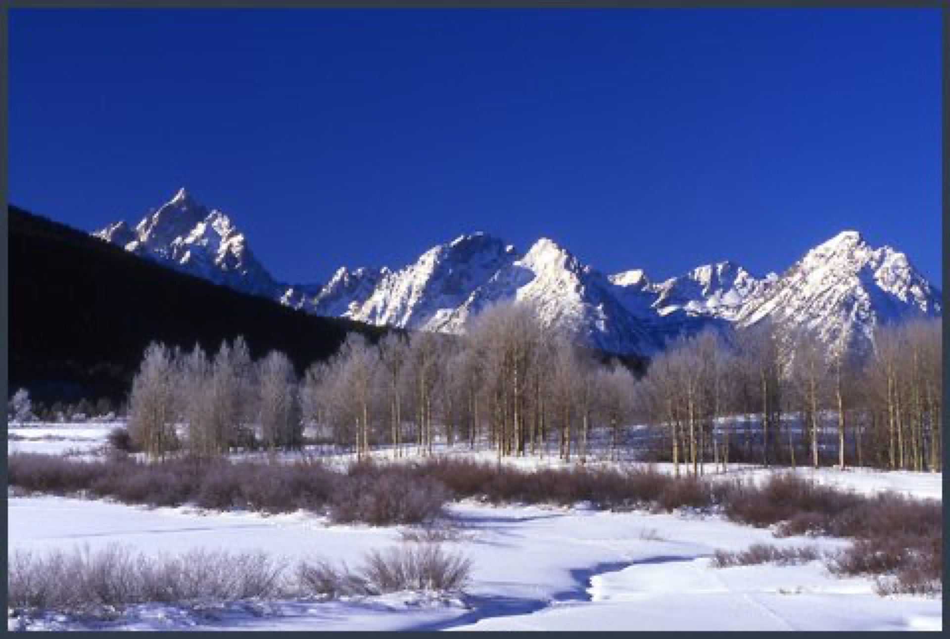Riva Ridge