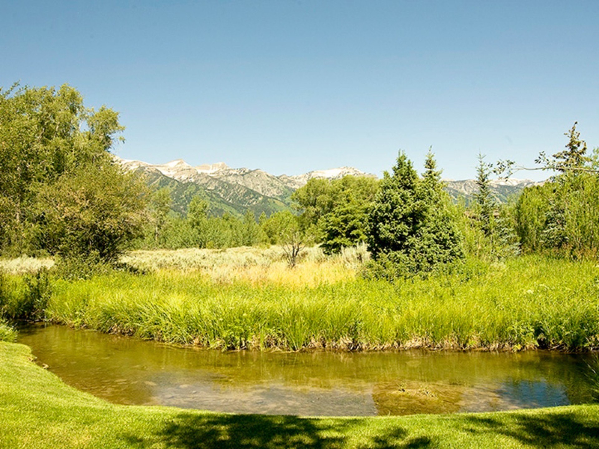 Wilderness Ranches