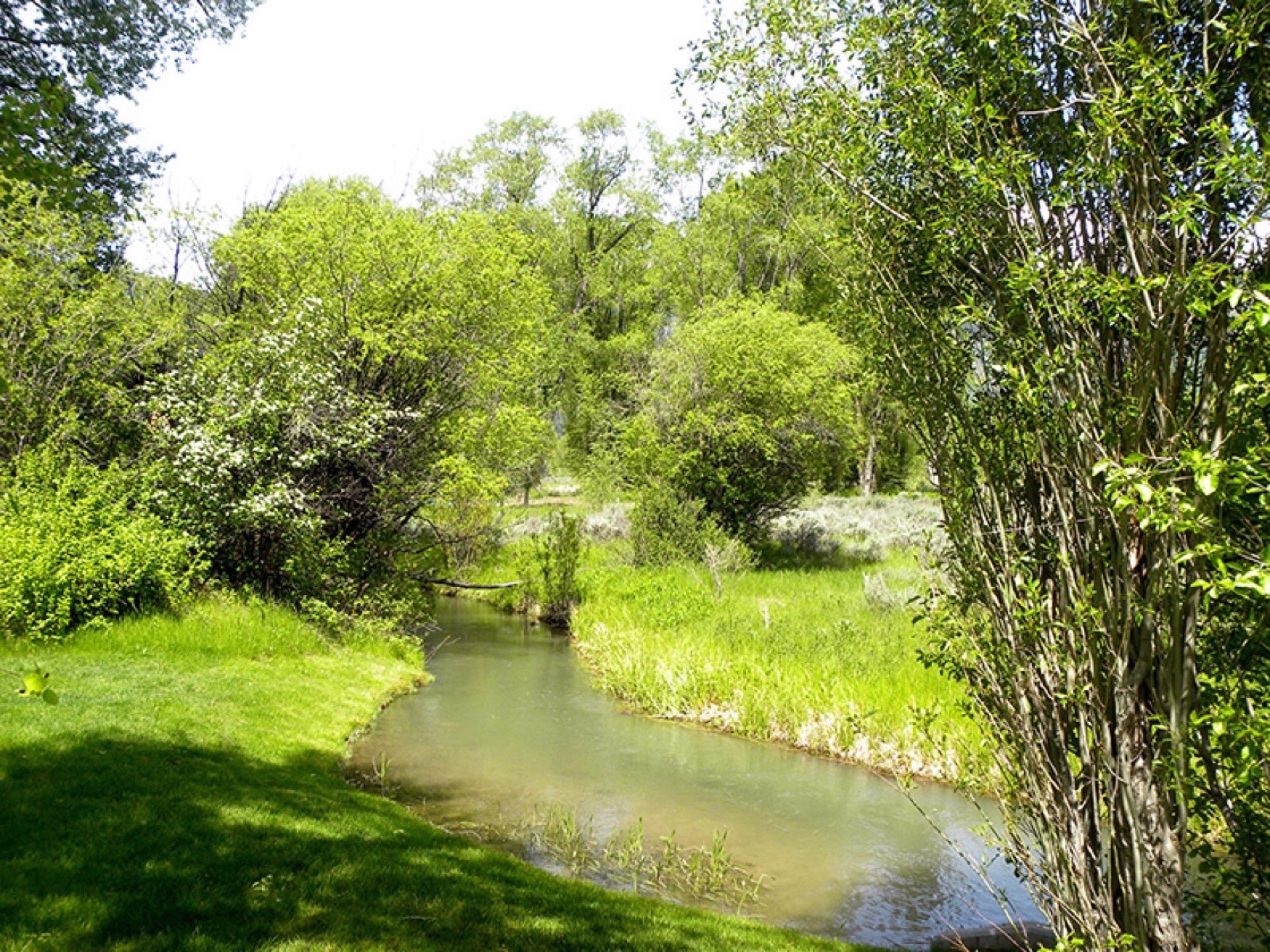 wilderness-ranches-jackson-hole-real-estate-2