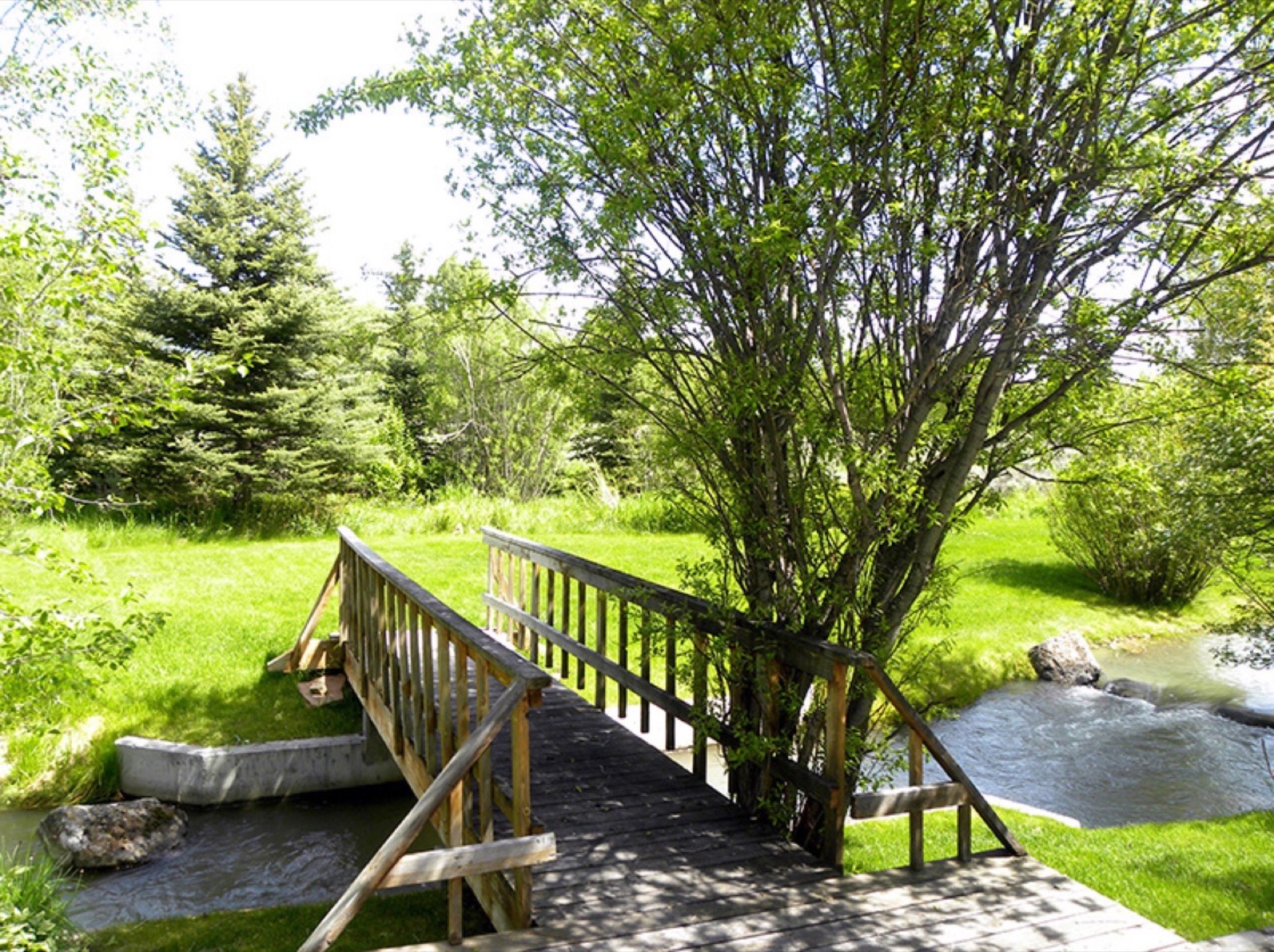 wilderness-ranches-jackson-hole-real-estate-5jpg